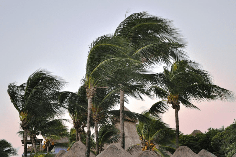 Solo leves incidencias por el&nbsp;temporal